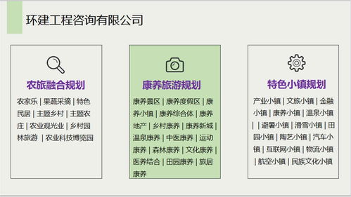 安國社會(huì)穩(wěn)定風(fēng)險(xiǎn)評(píng)估報(bào)告 信息系統(tǒng)集成服務(wù)公司的專業(yè)能力分析